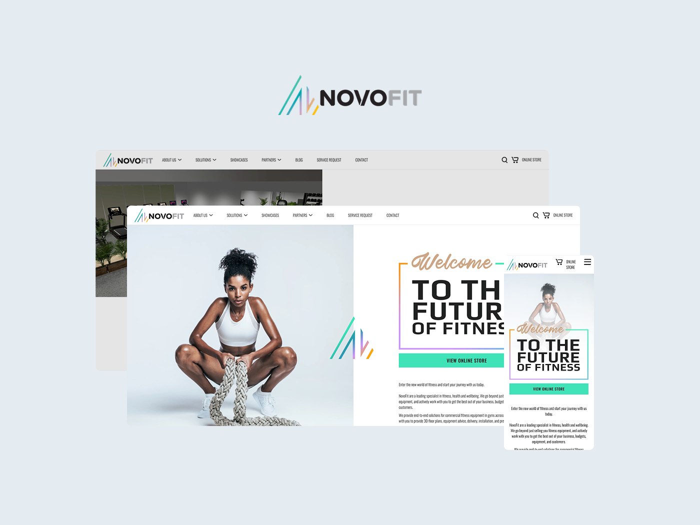 NovoFit: Sports E-Commerce Platform Development