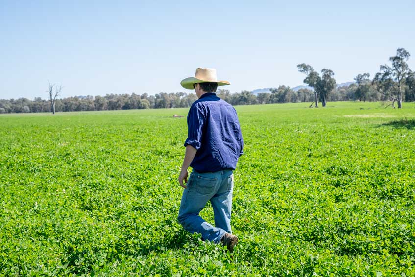 Meat & Livestock Australia
